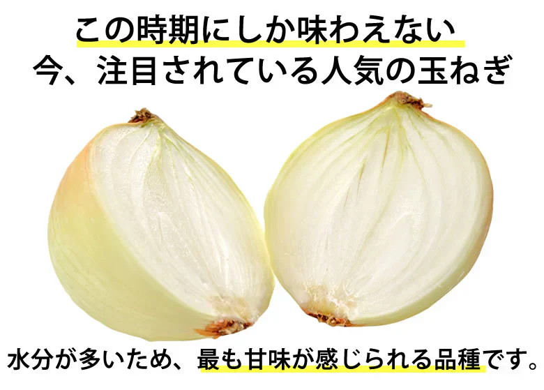 玉ねぎ サラダ玉ねぎ 10kg 送料無料 新玉 S～L 熊本県産 玉葱 たまねぎ 野菜