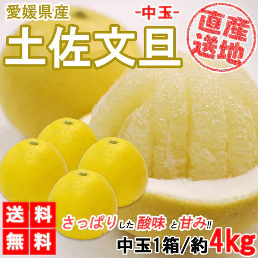 土佐文旦 中玉 4kg 送料無料 ご家庭用 箱買い サイズミックス みかん 柑橘 フルーツ 果物 産地直送 愛媛県産 YDF-007