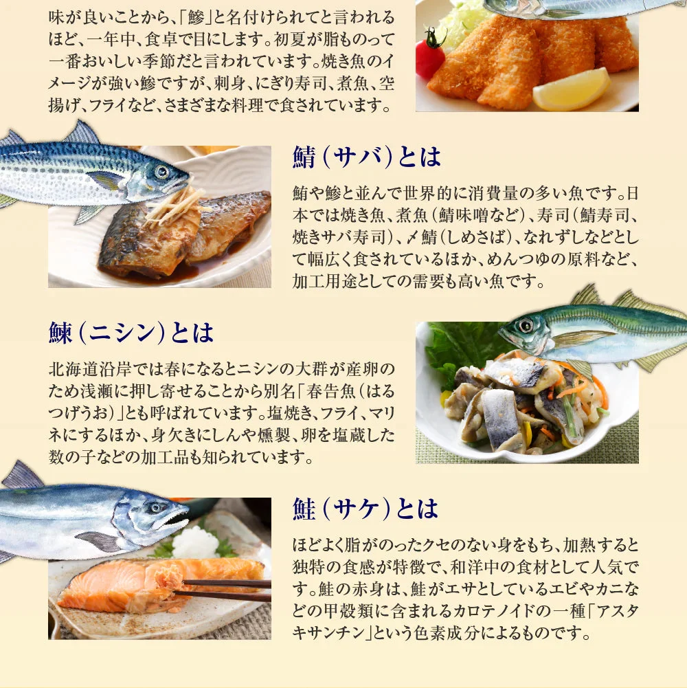 DHA&EPA＋DPA《約12ヶ月分》オメガ3 DHA&EPA＋DPA 不飽和脂肪酸 ドコサヘキサエン酸 エイコサペンタエン酸 ドコサペンタエン酸