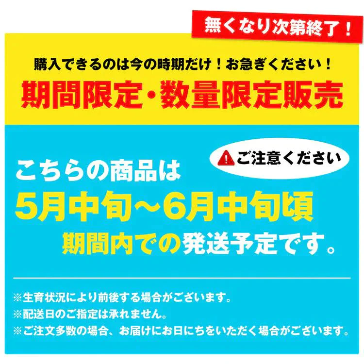 ホワイトアスパラガス 北海道 朝採れ 1kg 食べ比べ ホワイトアスパラ 500g グリーンアスパラ 500g 羊蹄山 産地直送 冷蔵便 同梱不可 指定日不可 産直
