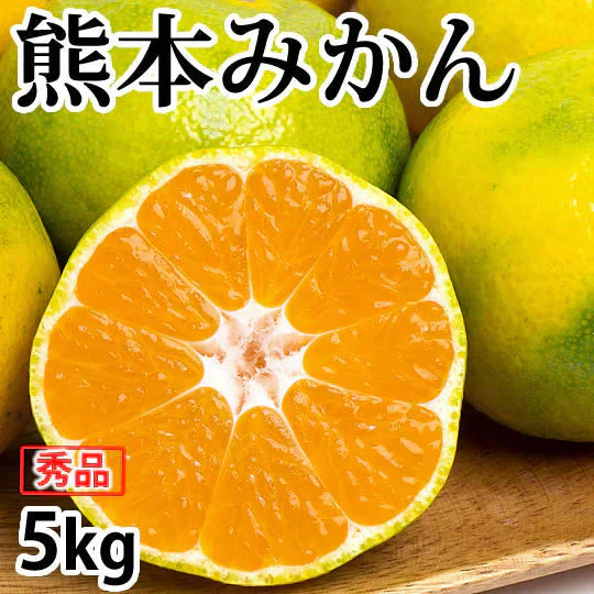 みかん 5kg 熊本みかん 秀品 2S～L 熊本県産 極早生みかん お取り寄せ 蜜柑 ミカン