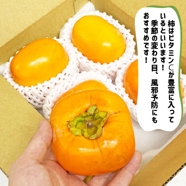 柿 和歌山県産 たねなし 約４kg (１５〜２０玉) ご家庭用 刀根 平たねなし 種無し 平核無柿 刀根 早生柿 送料無料 柿 カキ