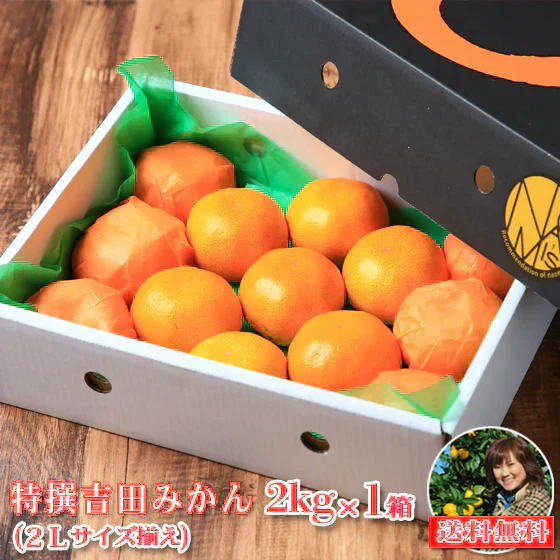 みかん　特撰　吉田みかん　２ｋｇ　特撰０２　贈答用　精品　中玉　２Ｌサイズ揃えで１３玉前後　化粧箱入　特撰包装　ミカン　蜜柑　フルーツ　果物　柑橘　贈物　贈答　お歳暮　送料無料