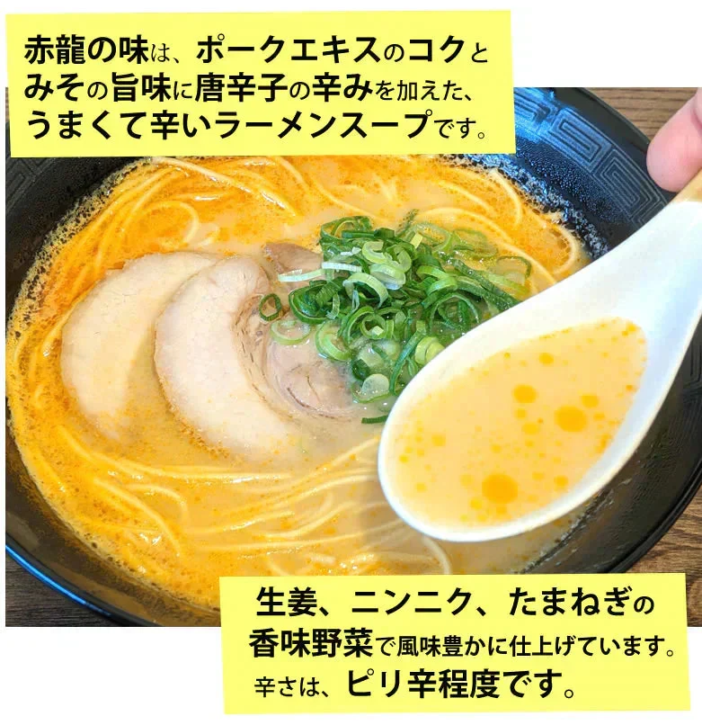 赤龍ラーメン 辛子みそ味 送料無料 2食 ラーメン お試し 日の出製粉 熊本ラーメン お取り寄せ ポッキリ 辛子味噌ラーメン ピリ辛ラーメン 九州ラーメン