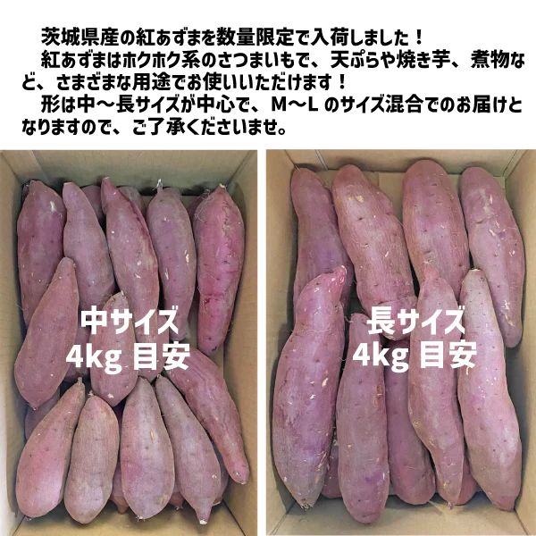 茨城県産 紅あずま 約４kg M〜Lサイズ 中長規格 さつまいも サツマイモ 焼き芋 国産 さつま芋 ベニアズマ