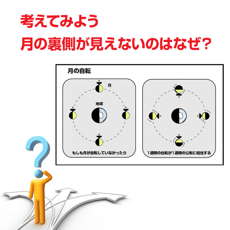 理科実験キット<BR> 月と太陽Ａ型 簡単三球儀作り<BR> 夏休み