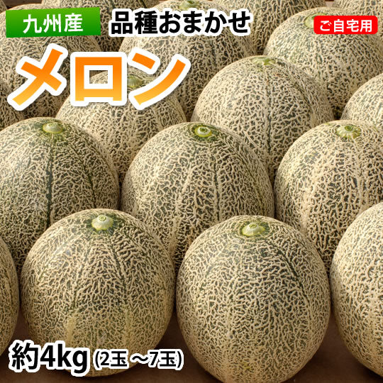 【5月下旬～6月上旬頃より順次出荷】メロン 訳あり 送料無料 約4kg（2〜7玉）品種おまかせ 九州産 キンショウメロン・イエローキング・エリザベス・肥後グリーン・プリンス・レノン・タカミ・アムス・ クインシーメロン・リゾート・アンデスメロン・ホームランなど