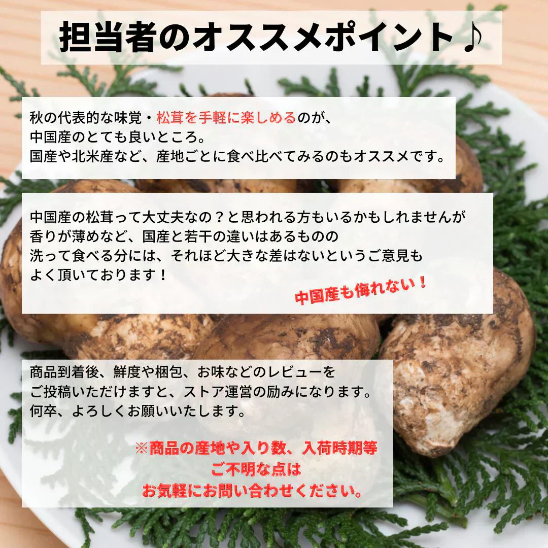 松茸(まつたけ) 中国産 約100グラム程度