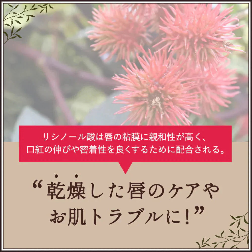 【終了】キャスターオイル 300ml ひまし油 ヒマシ油 キャスター オイル キャリアオイル ひましあぶら ボディオイル マッサージオイル 業務用 全身 セルライト ボディ むくみ ボディーオイル オーガニック マッサージ オイル ポンプ付き 送料無料