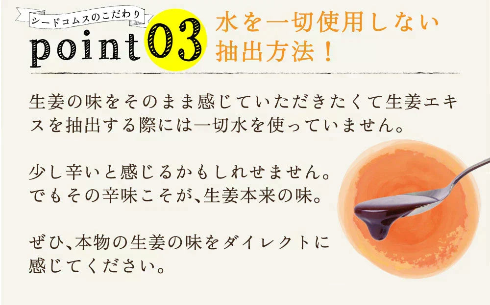 しょうが美人 ペースト 《1箱31包入り》 長崎県産しょうが使用 化学調味料　着色料保存料香料全て一切不使用　かぼす 黒糖 生姜 冷え ジンジャー シロップ エール ドリンク ダイエット ゼリー