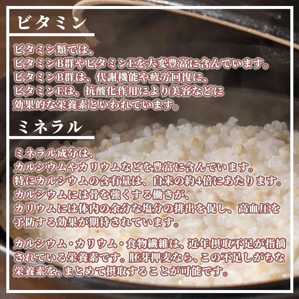 雑穀 雑穀米 国産 丸麦 800g(400g×2袋) 定番サイズ 無添加 無着色 送料無料