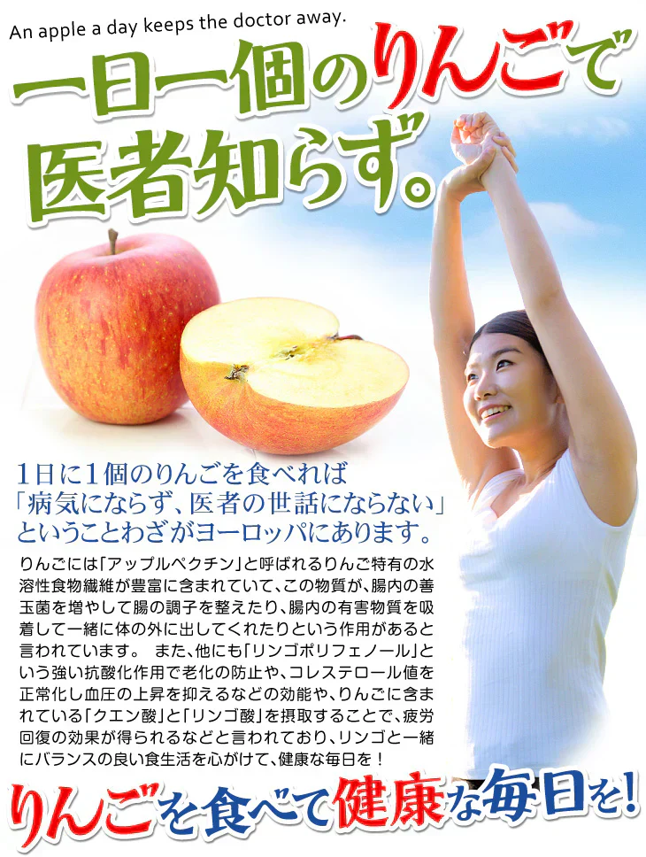 りんご 5kg  ぐんま名月 青森産【2025年1月中旬より発送】