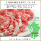 国産 豚肉 切り落とし 1.5kg (250g × 6パック) 豚