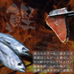 三陸石巻のブランド鰹 金華かつお たたき 三本セット(背節、腹節混合) 鰹のたたき かつおのたたき カツオ お刺身 海鮮 グルメ 食べ物 おつまみ お取り寄せ お歳暮 お祝い プレゼント 敬老の日 贈答用