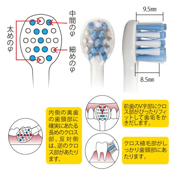 【新世代 歯ブラシ】 Neotuft（ネオタフト）＆Ci クロスケア 各1本セット