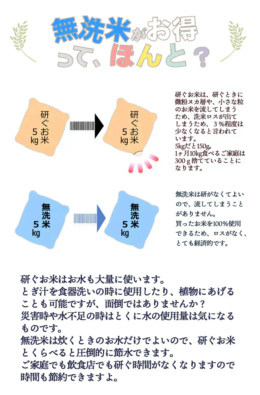 令和6年産 あきたこまち 無洗米 2kg 送料無料 秋田小町 千葉県産 研がずに炊ける2キロ【ご新規さん限定商品】