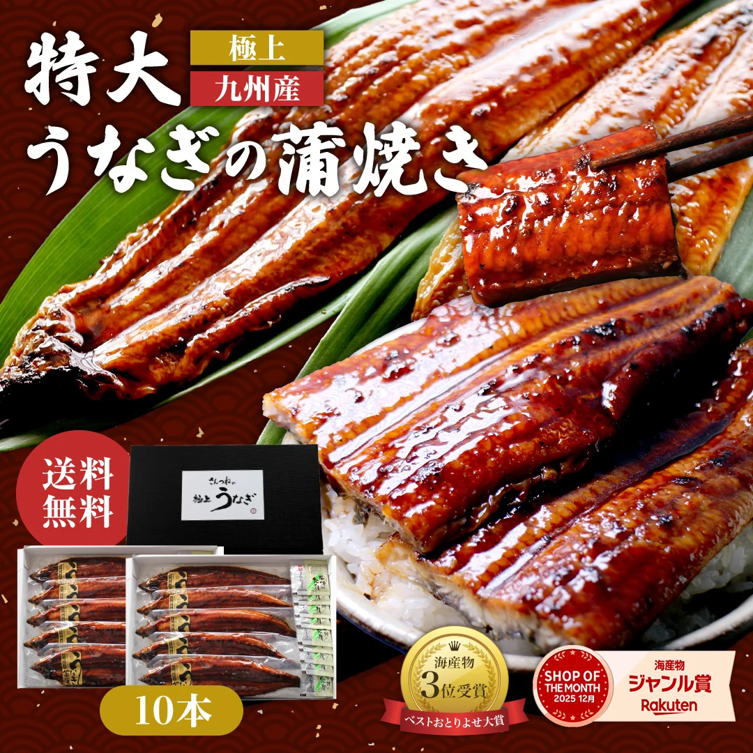 特大うなぎ蒲焼 約200gｘ10本 九州産