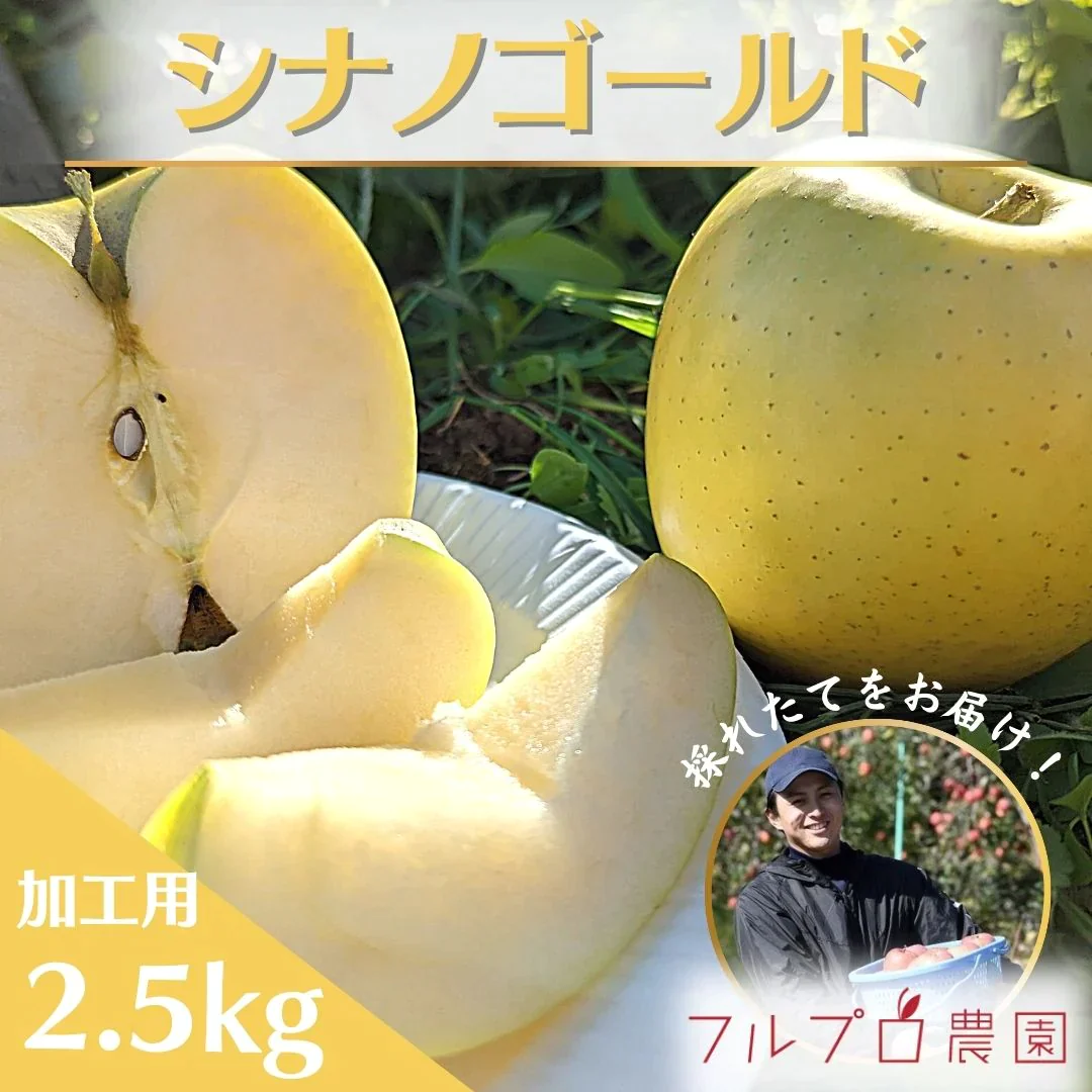 【2023年産予約開始！数量限定！】シナノゴールド 加工用 約2.5kg(7-16玉) パリっと歯ごたえジューシー 10月下旬頃発送開始予定 #YAG0K025