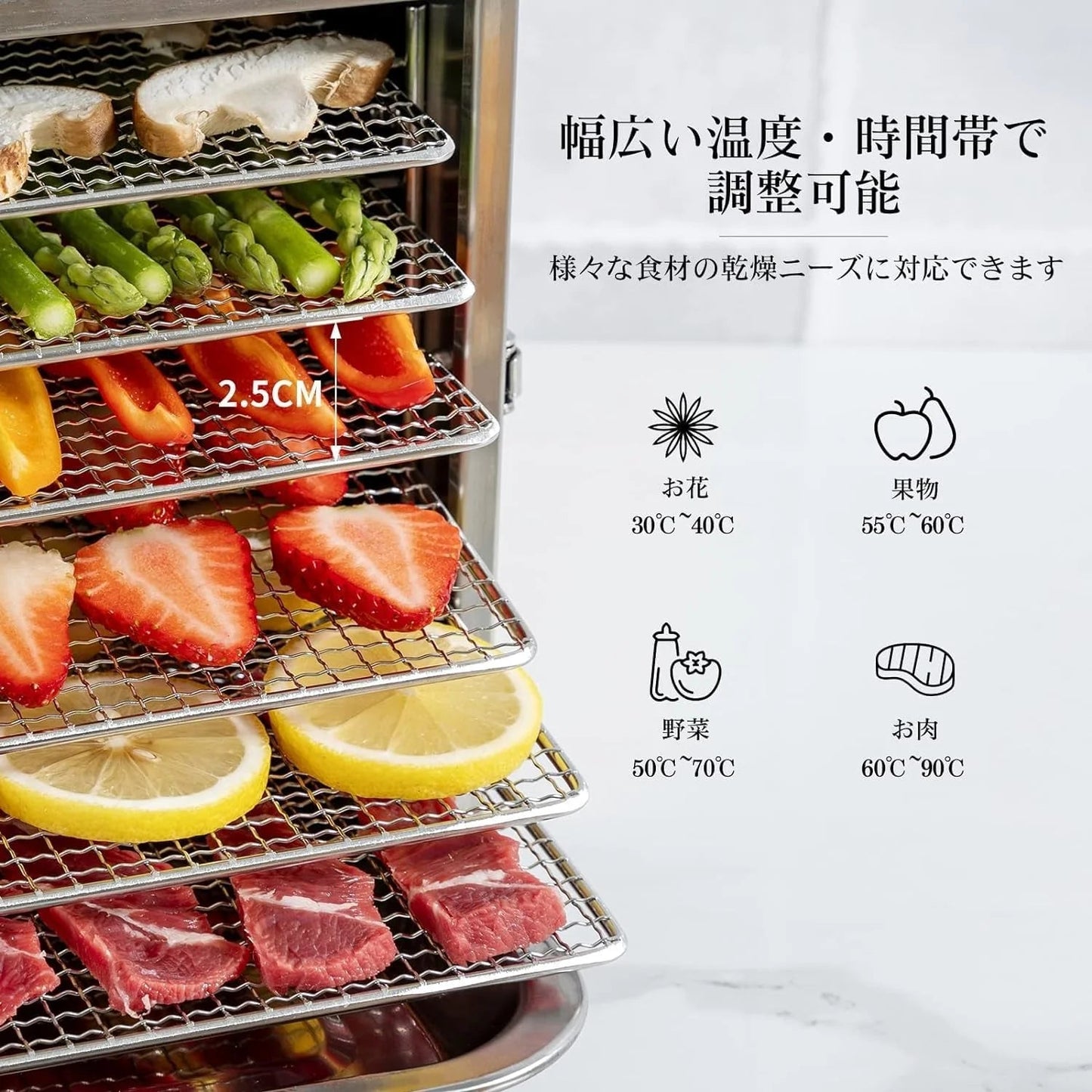 食品乾燥機 10層 フードドライヤー クッキー乾燥機 電気食品脱水機 ドライフルーツ 304ステンレス鋼製 LCD智能温度制御 24時間タイマー 食品グレード 野菜 お茶