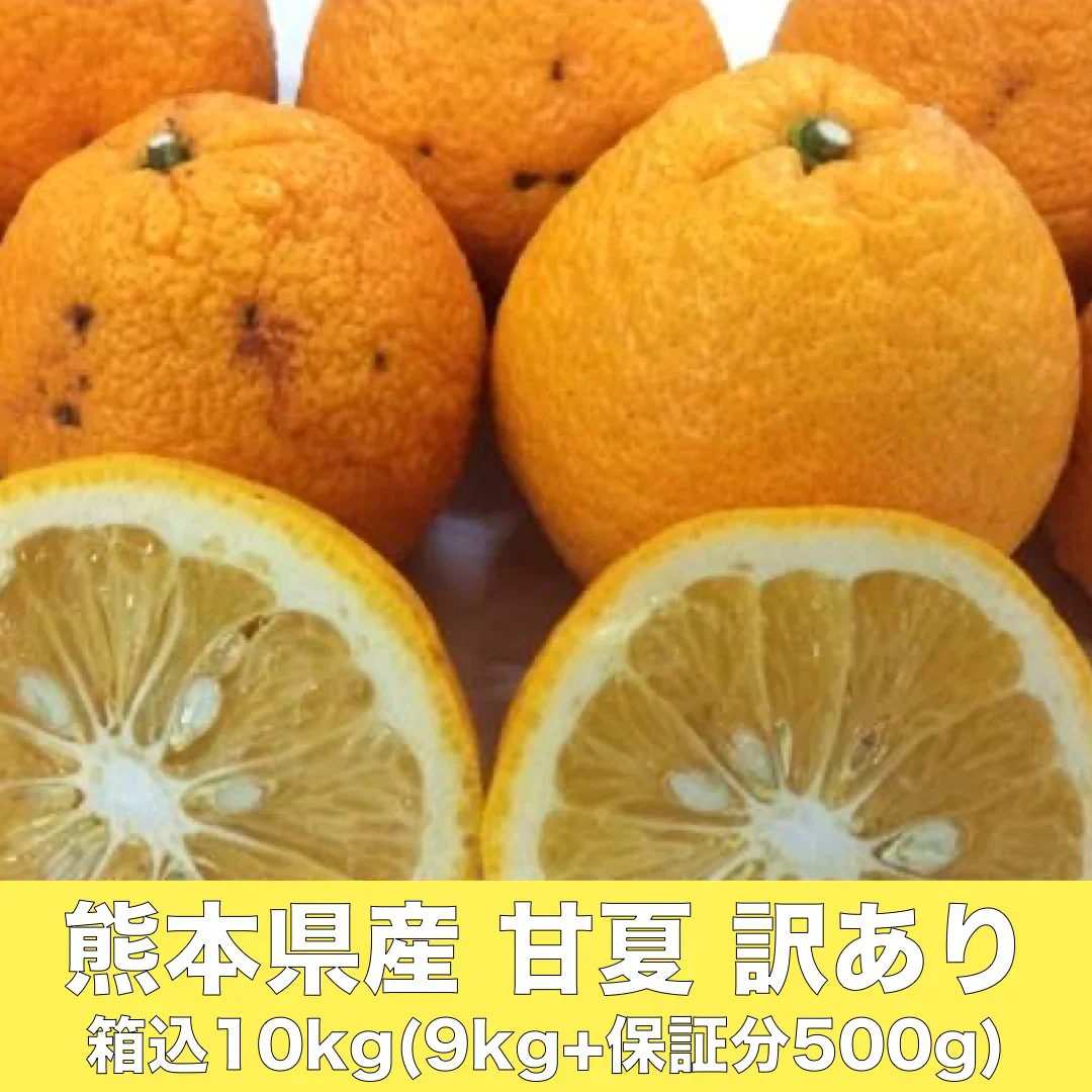 甘夏 訳あり 箱込10kg（9kg+保証分500ｇ）熊本産