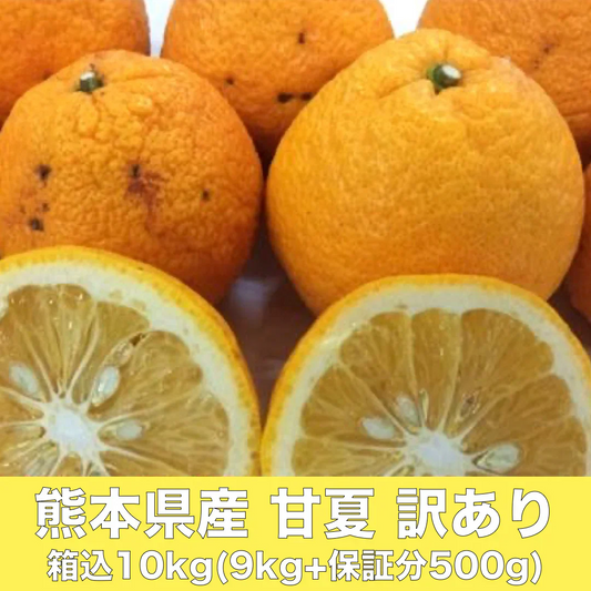 甘夏 訳あり 箱込10kg（9kg+保証分500ｇ）熊本産