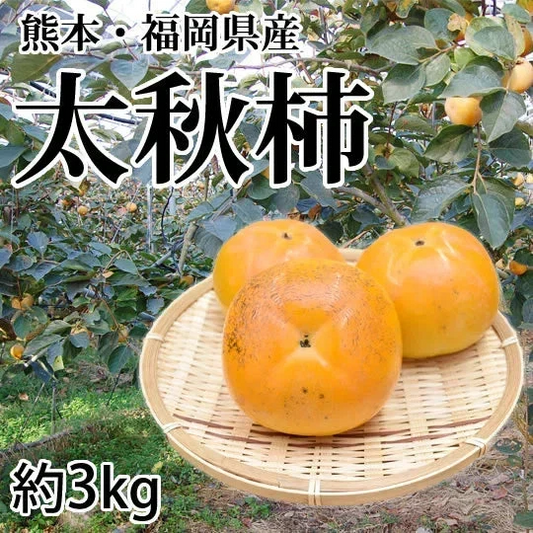 【10月下旬～11月上旬頃より順次出荷】太秋柿 柿 訳あり 送料無料 約3kg 熊本・福岡県産 お取り寄せ フルーツ 太秋 たいしゅうがき 甘柿 かき カキ