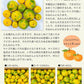 熊本 みかん 訳あり 9kg 熊本県産 熊本 小玉 不選別 みかん 家庭用 送料無料 早生 ミカン フルーツ お取り寄せ 柑橘 フルーツ 果物  《10月中旬-11月中旬に出荷予定》