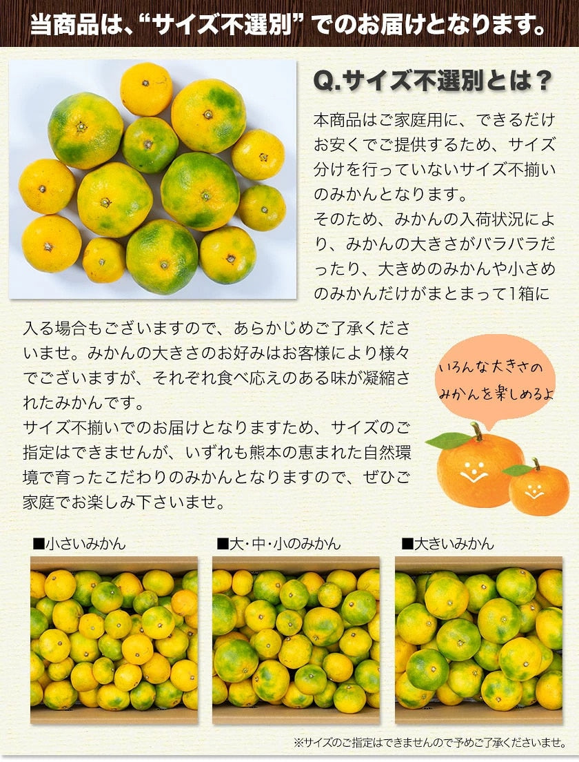 熊本 みかん 訳あり 9kg 熊本県産 熊本 小玉 不選別 みかん 家庭用 送料無料 早生 ミカン フルーツ お取り寄せ 柑橘 フルーツ 果物  《10月中旬-11月中旬に出荷予定》