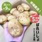 国産 新じゃが 約9kg 3Lサイズ 九州産他 ニシユタカ 新じゃがいも