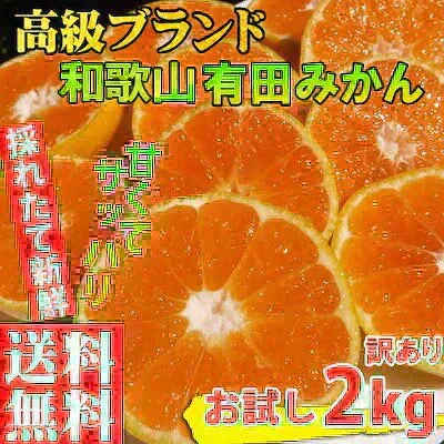 (10月下旬頃から順次発送の予約販売) みかん 2キロ 和歌山県 有田産 有田みかん