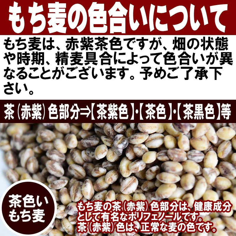 もち麦 国産 900g ダイシモチ 茶紫色 雑穀 送料無料