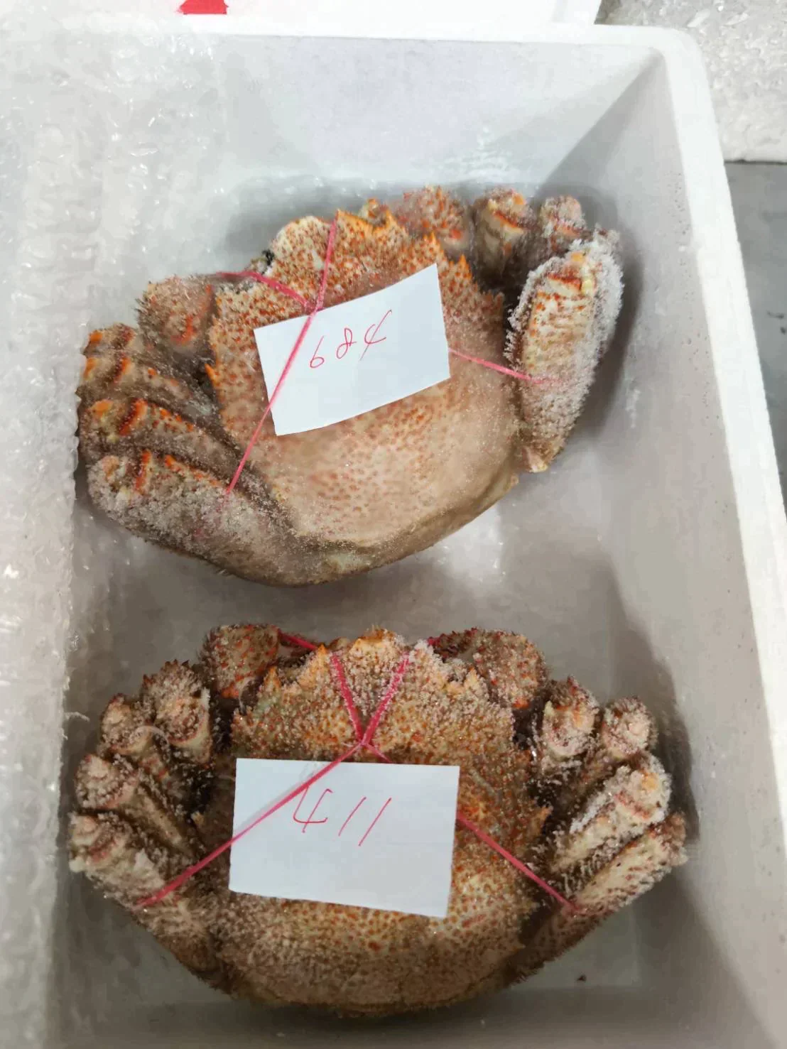 北海道産毛蟹 2尾パック 1尾あたり400~600g