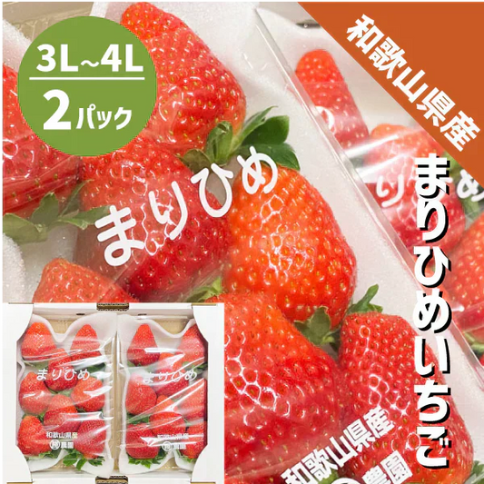 いちご まりひめ 3L〜4L ２パック（300g×2パック）和歌山県産 紀の川市 ブランド 苺 イチゴ 送料無料 贈答 産地