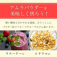【ご注文殺到につき入荷待ち】 アムラパウダー 無添加 食用 オーガニック 100g 有機 JAS認証 粉末 アムラ 100% パウダー グーズベリー スリランカ ヘアケア 美髪 薄毛 美肌 栄養 健康 サプリメント