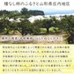 【11月上旬-下旬頃ご注文受付順次】庄内柿 7.5kg（M-3L玉 28-40玉前後）手付き化粧箱詰め 種なし柿 かき カキ 柿 贈答 ギフト