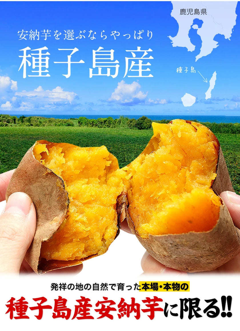 【熊本コレクション】種子島産 訳あり 安納芋 4kg 送料無料 さつまいも  サイズ大中小不揃 希少 《3-7営業日以内に発送予定(土日祝日除く)》