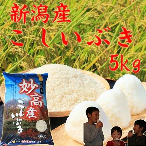 新米 令和8年 お米 5kg 送料無料 新潟産 米5kg 新潟産 こしいぶき 米 5kg 白米 米５キロ 精米 分づき5kg お米安い 新潟産米５ｋｇ コシイブキ