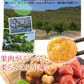 紀州南高梅 はちみつ 梅干し つぶれ梅 200g×2パック 和歌山産 塩分約3%
