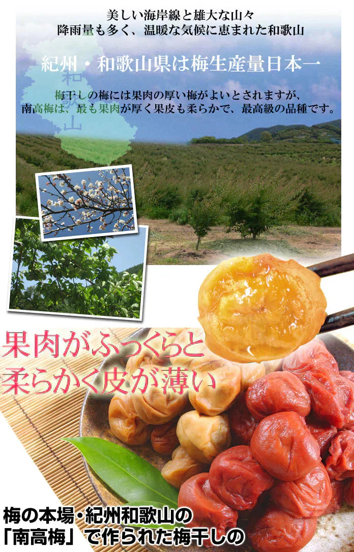 紀州南高梅 はちみつ 梅干し つぶれ梅 200g×2パック 和歌山産 塩分約3%