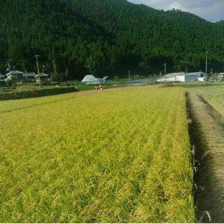 那賀町相生産 あきさかり 玄米 10kg【送料込み】【お届け不可地域：北海道・沖縄・離島】