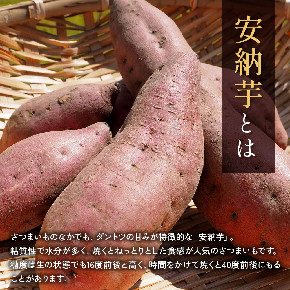 安納芋 5kg 安納いも 安納イモ 産地直送 産直 土付き さつまいも さつま芋 薩摩芋 焼きいも 焼き芋 南九州産 FJK-002