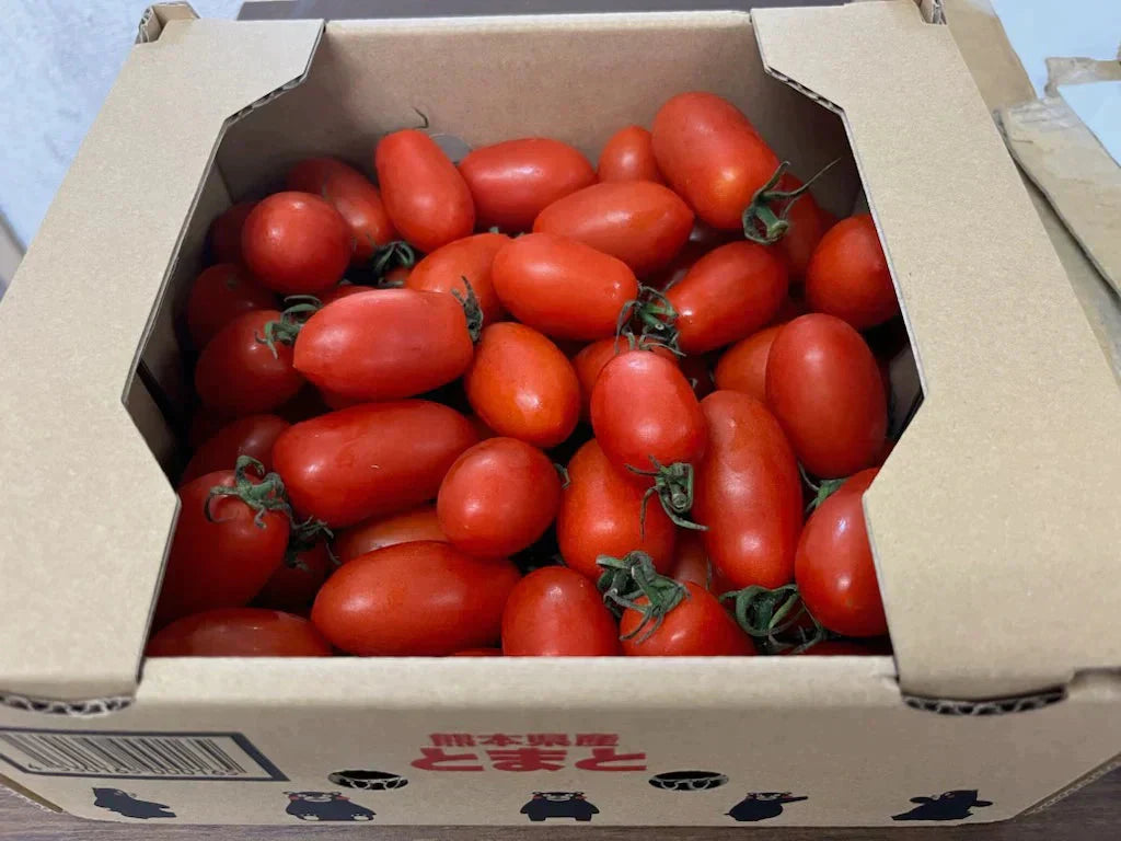 トマト🍅（トマト・ミディトマト・ミニトマトなど種類は出品者おまかせ）送料無料【ご新規さん限定商品】60サイズ