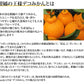 【12月下旬～1月上旬頃より順次出荷】デコポン 同品種 デコみかん 訳あり 送料無料 4kg ハウス栽培 みかん 熊本県産 不知火 ミカン 蜜柑