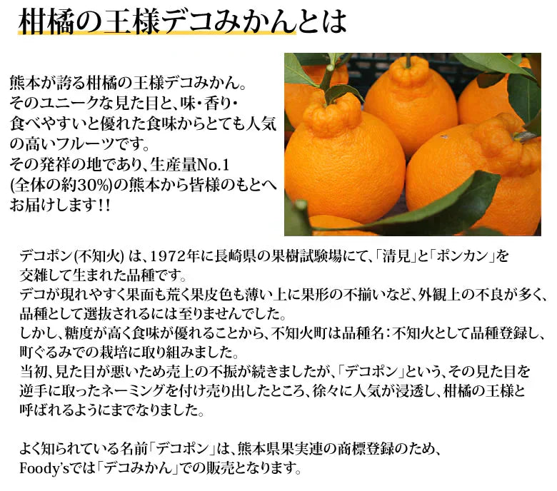 【12月下旬～1月上旬頃より順次出荷】デコポン 同品種 デコみかん 訳あり 送料無料 4kg ハウス栽培 みかん 熊本県産 不知火 ミカン 蜜柑