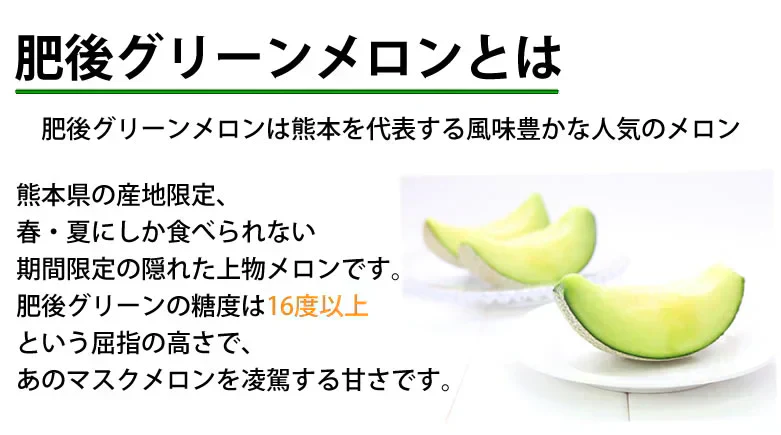 メロン 肥後グリーンメロン 送料無料 2玉 約3～4kg M～3L 熊本県産 肥後グリーン