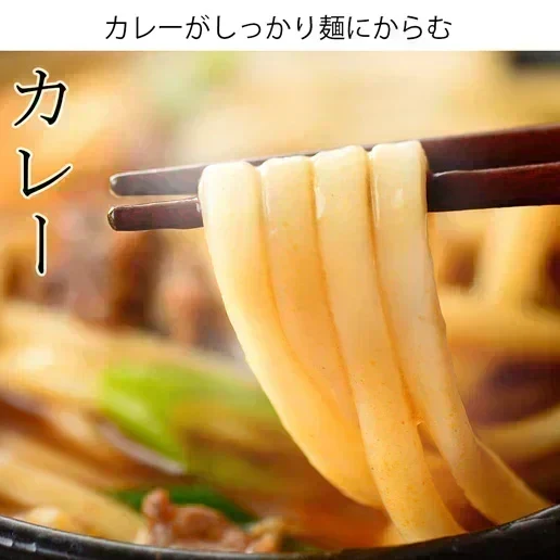 うどん 讃岐うどん 熟成うどん 約６人前 600g (300gx2袋) つゆ付き 送料無料 本場讃岐 純生熟成うどん 太麺 うどん お取り寄せ jukusei6-tuyu
