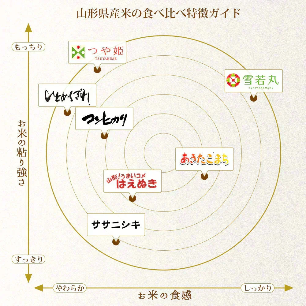 ひとめぼれ 無洗米 5kg 山形県産 令和7年産 送料無料 米 5キロ こめ コメ お米 精米 新米 お米5kg ひとめぼれ5kg ひとめぼれ5キロ