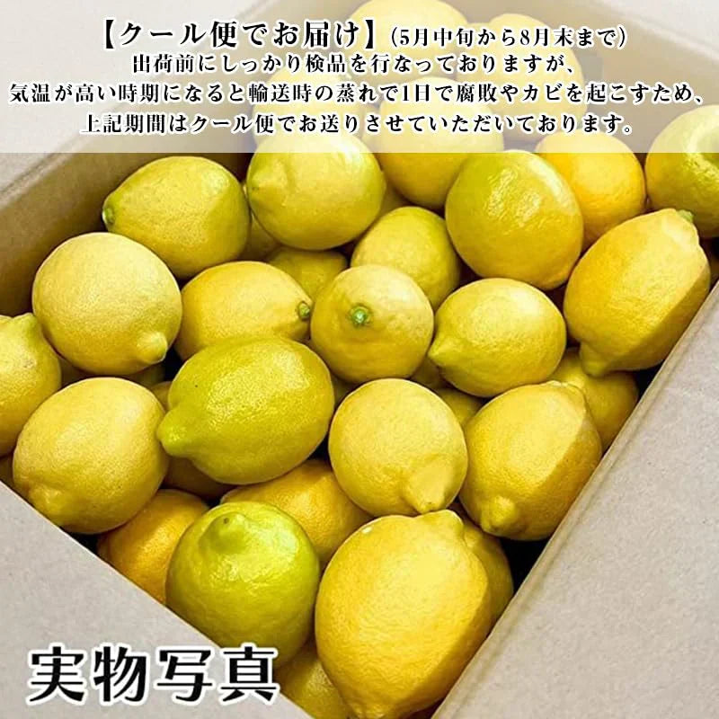[みさわのやさい] クール便発送 国産 レモン 無農薬 訳あり 1kg 皮まで食べられる ノーワックス 防腐剤 防カビ剤 不使用