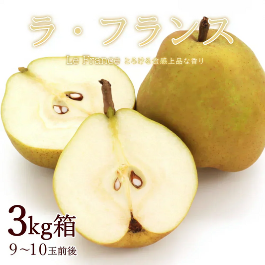 【11月中旬-12月下旬頃ご注文受付順次】洋梨　ラフランス　約3kg（9-10玉前後）化粧箱詰め　中玉サイズ　山形県産　西洋梨　なし　ようなし