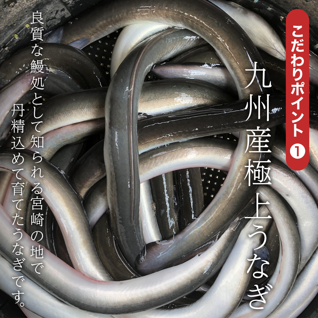 特大うなぎ蒲焼 約200gｘ2本 九州産